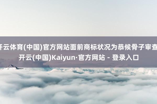 开云体育(中国)官方网站面前商标状况为恭候骨子审查-开云(中国)Kaiyun·官方网站 - 登录入口